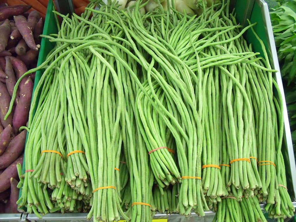 Detail String Bean Pictures Nomer 23