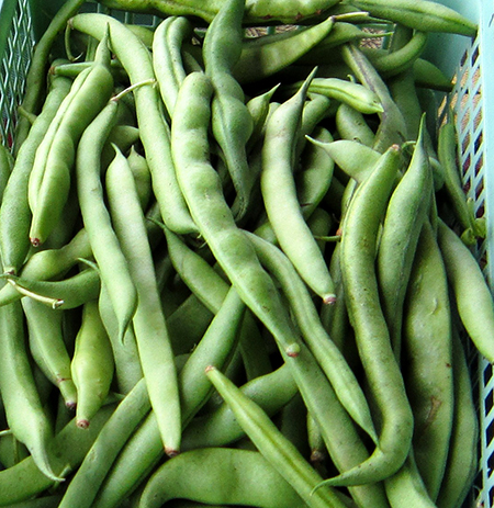 Detail String Beans Image Nomer 43