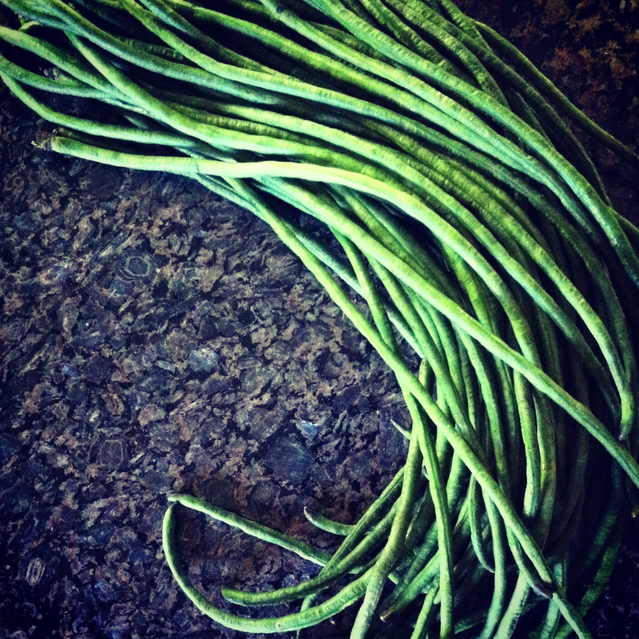 Detail String Beans Images Nomer 24