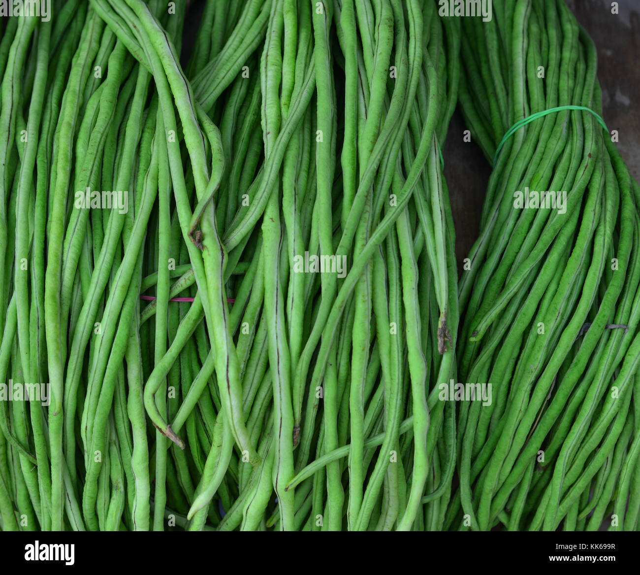 Detail String Beans Images Nomer 9