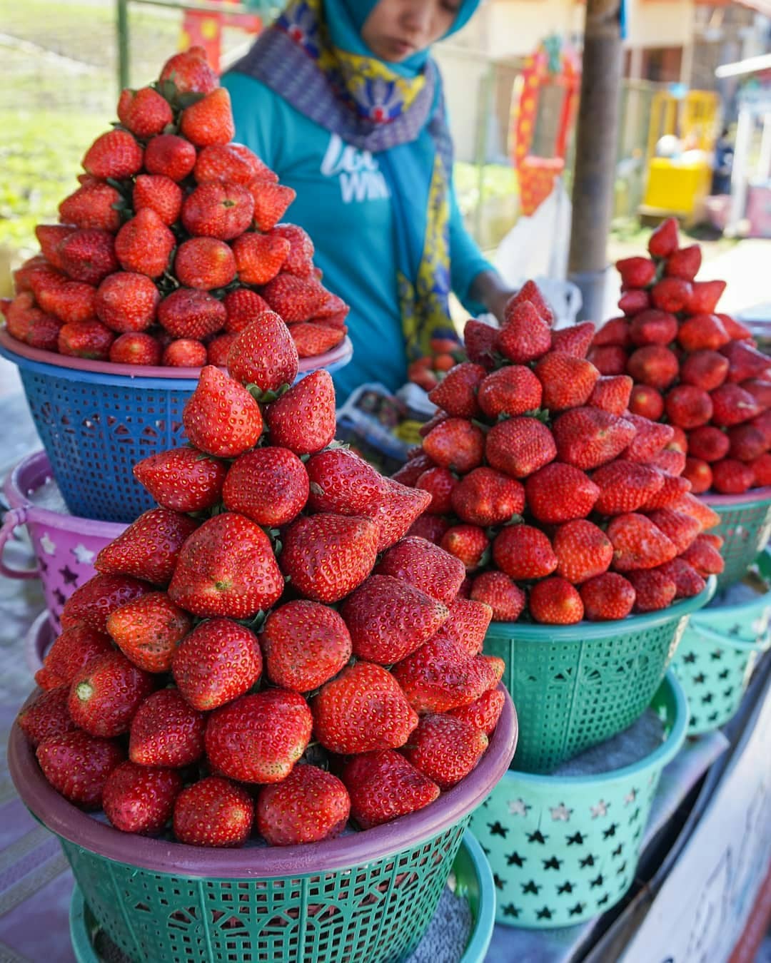 Detail Stroberi Atau Strawberry Nomer 18