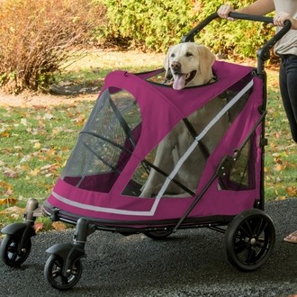 Detail Strollers For Dogs Ebay Nomer 59