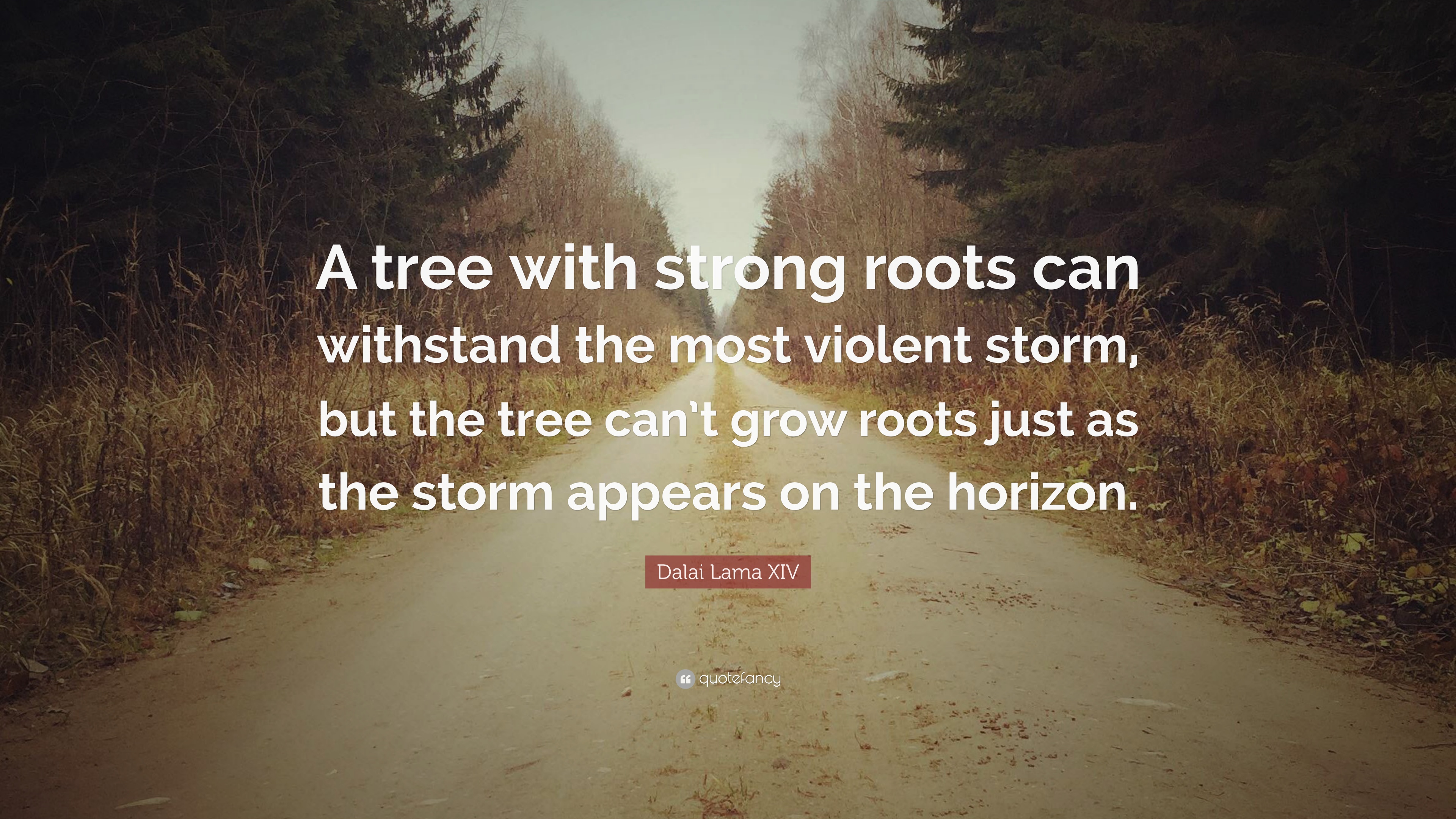 Detail Strong Roots Quotes Nomer 28