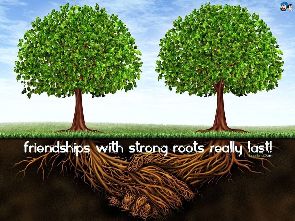 Detail Strong Roots Quotes Nomer 41