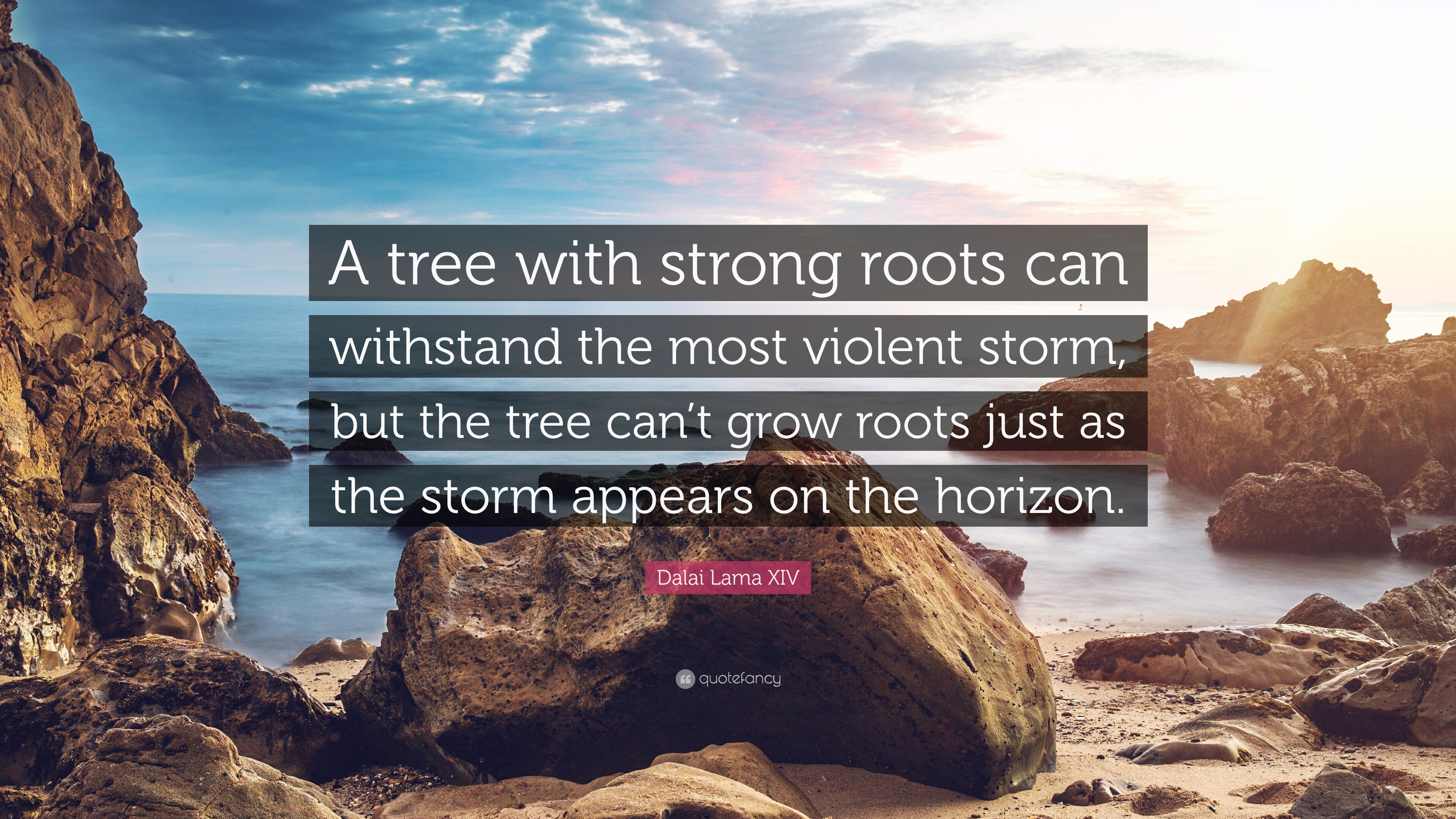 Detail Strong Roots Quotes Nomer 46