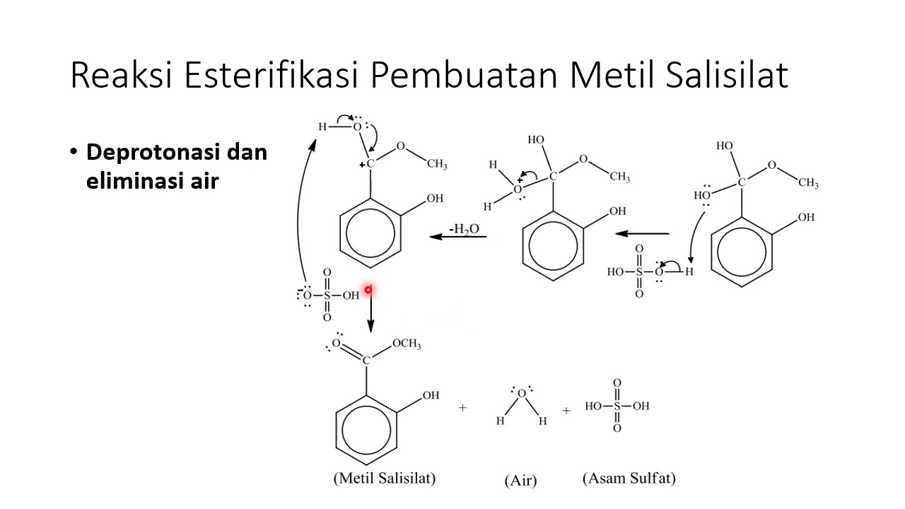 Detail Struktur Asam Salisilat Nomer 17