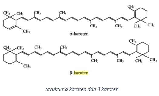 Detail Struktur Beta Karoten Nomer 2