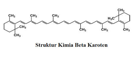 Detail Struktur Beta Karoten Nomer 3