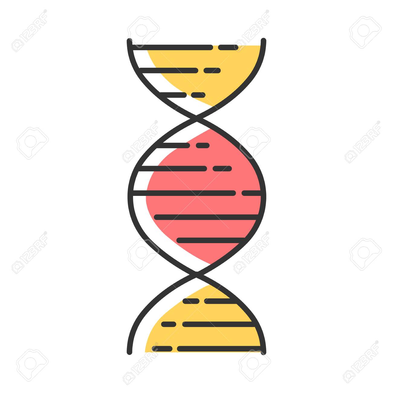 Detail Struktur Dna Double Helix Nomer 26