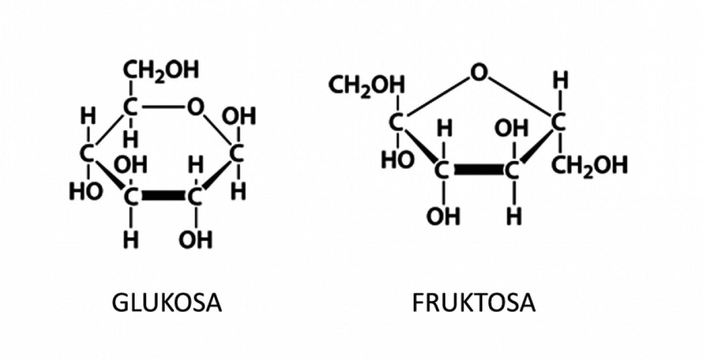 Detail Struktur Fruktosa Gambar Struktur Fruktosa Nomer 2