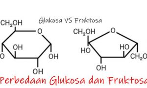 Detail Struktur Fruktosa Gambar Struktur Fruktosa Nomer 16