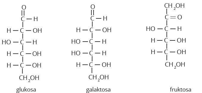 Detail Struktur Fruktosa Gambar Struktur Fruktosa Nomer 23