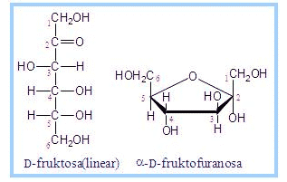 Detail Struktur Fruktosa Gambar Struktur Fruktosa Nomer 5