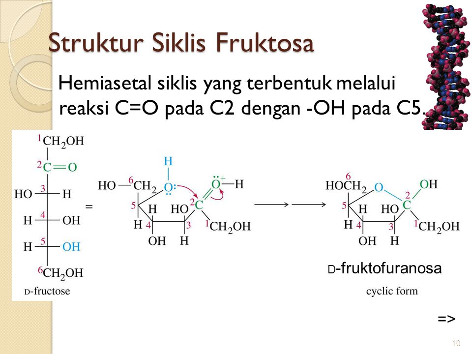 Detail Struktur Fruktosa Gambar Struktur Fruktosa Nomer 34