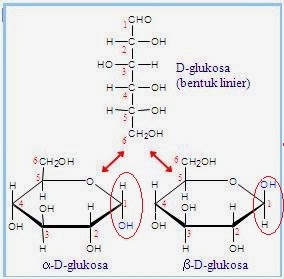 Detail Struktur Fruktosa Gambar Struktur Fruktosa Nomer 37