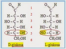 Detail Struktur Fruktosa Gambar Struktur Fruktosa Nomer 41