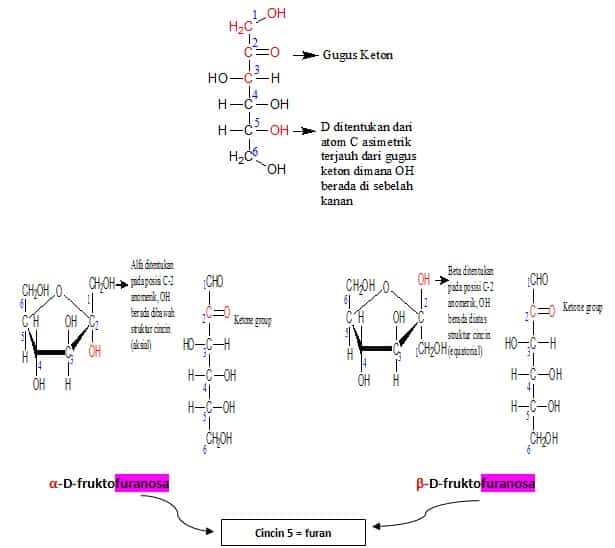Detail Struktur Fruktosa Gambar Struktur Fruktosa Nomer 48