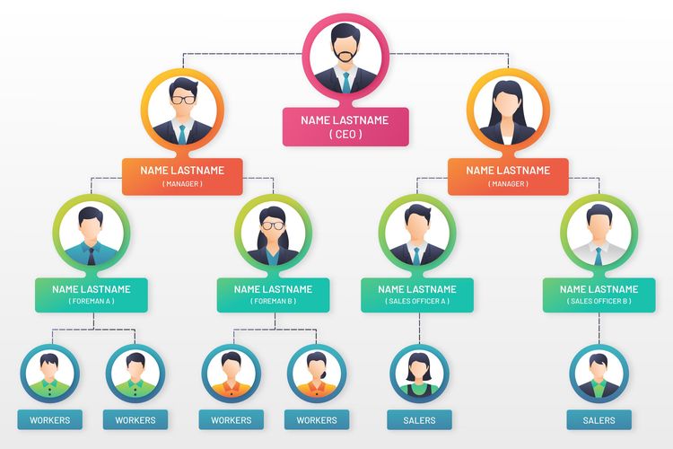 Detail Struktur Organisasi Kosong Nomer 42