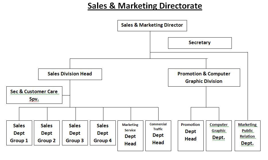 Detail Struktur Organisasi Pemasaran Nomer 12