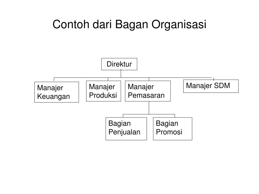 Detail Struktur Organisasi Pemasaran Nomer 16