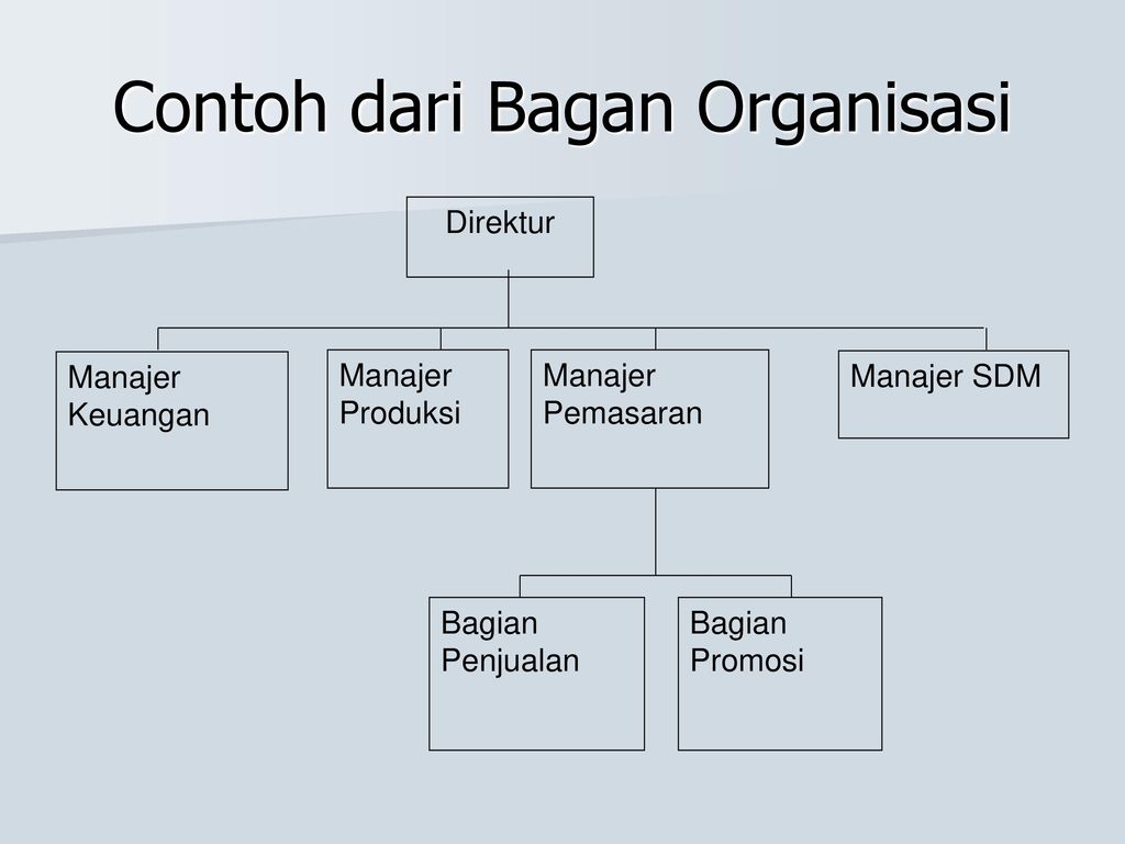 Detail Struktur Organisasi Pemasaran Nomer 20