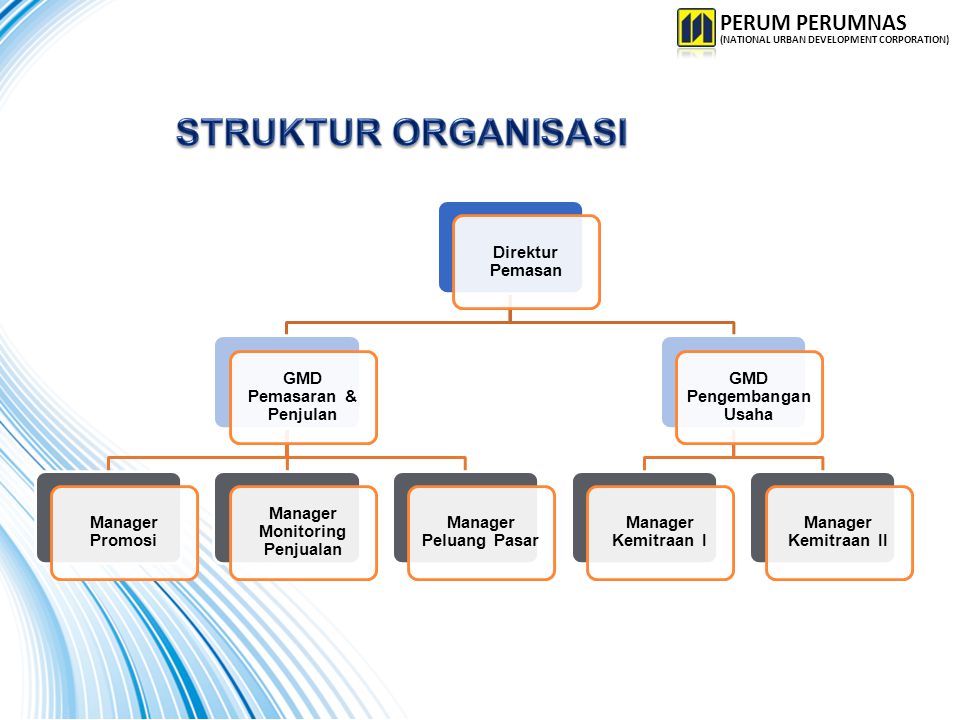 Detail Struktur Organisasi Pemasaran Nomer 23