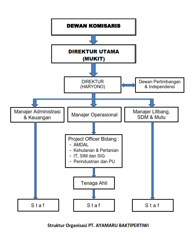 Detail Struktur Organisasi Perusahaan Konsultan Nomer 18