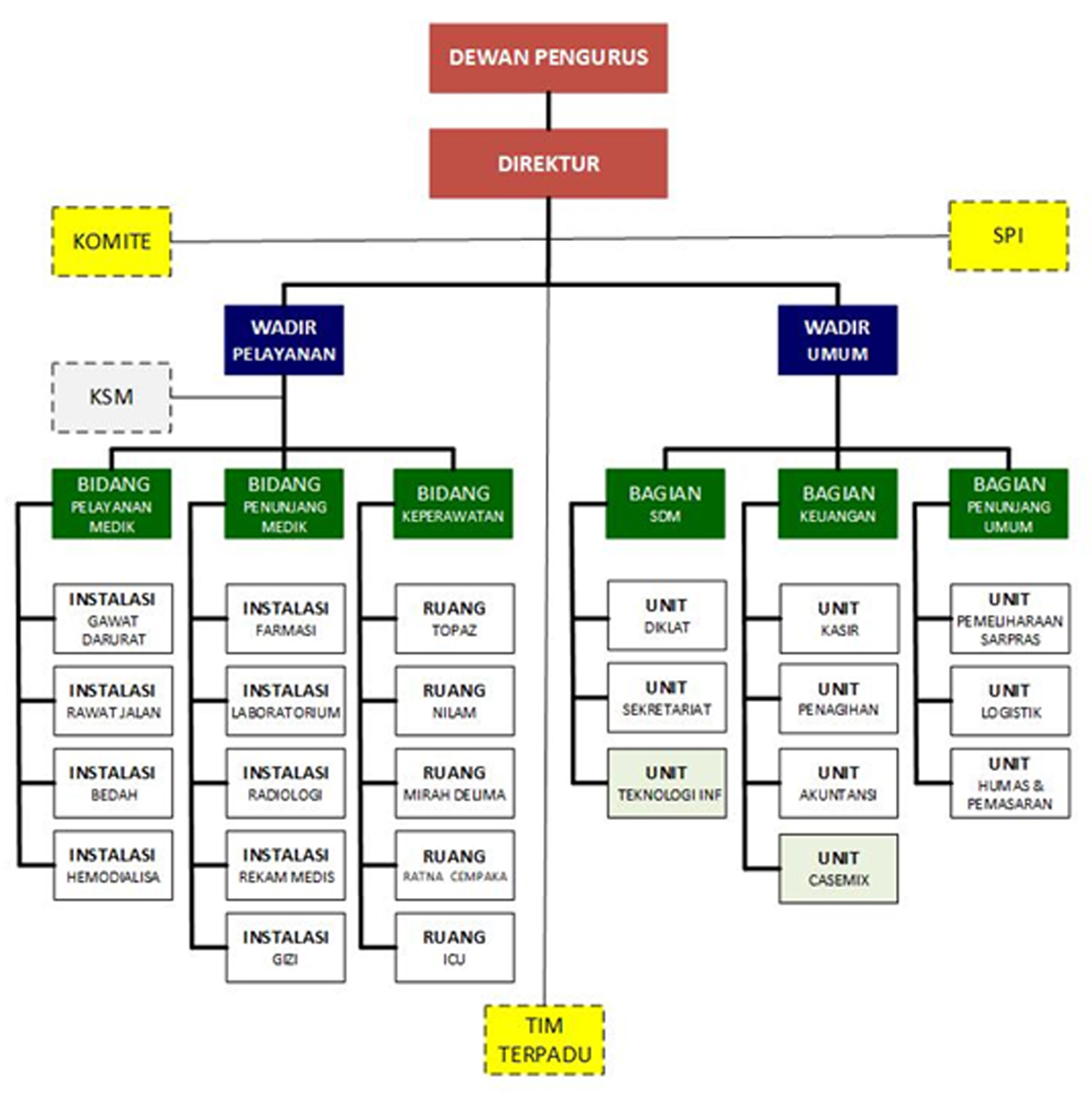 Struktur Organisasi Rumah Sakit - KibrisPDR