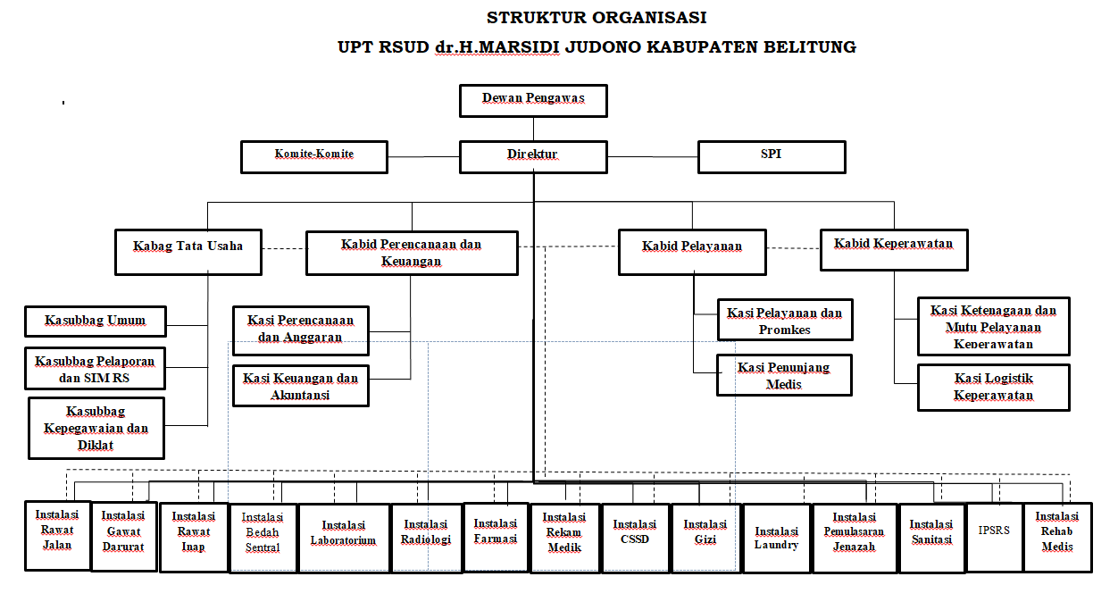 Detail Struktur Organisasi Rumah Sakit Nomer 17
