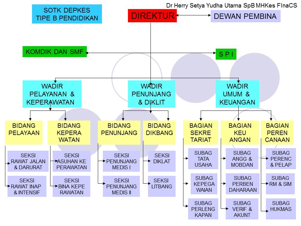 Detail Struktur Organisasi Rumah Sakit Siloam Nomer 13