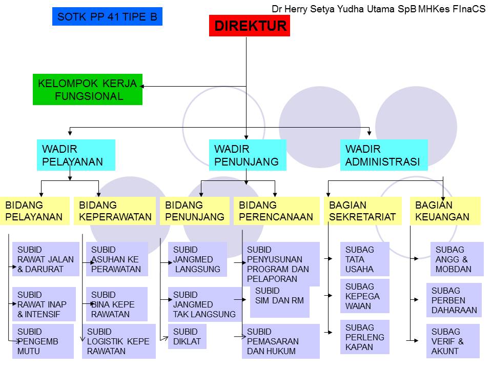 Detail Struktur Organisasi Rumah Sakit Siloam Nomer 15