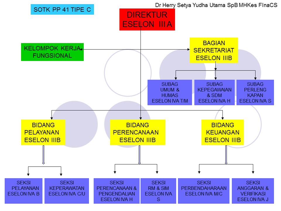 Detail Struktur Organisasi Rumah Sakit Siloam Nomer 18