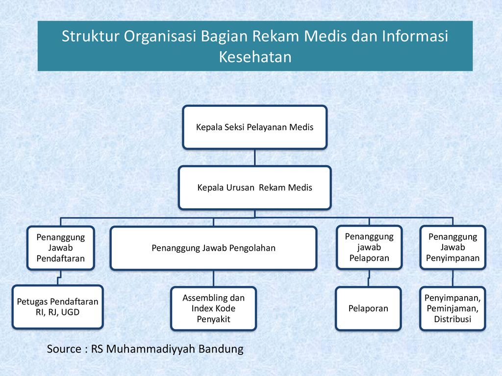 Detail Struktur Organisasi Rumah Sakit Siloam Nomer 21