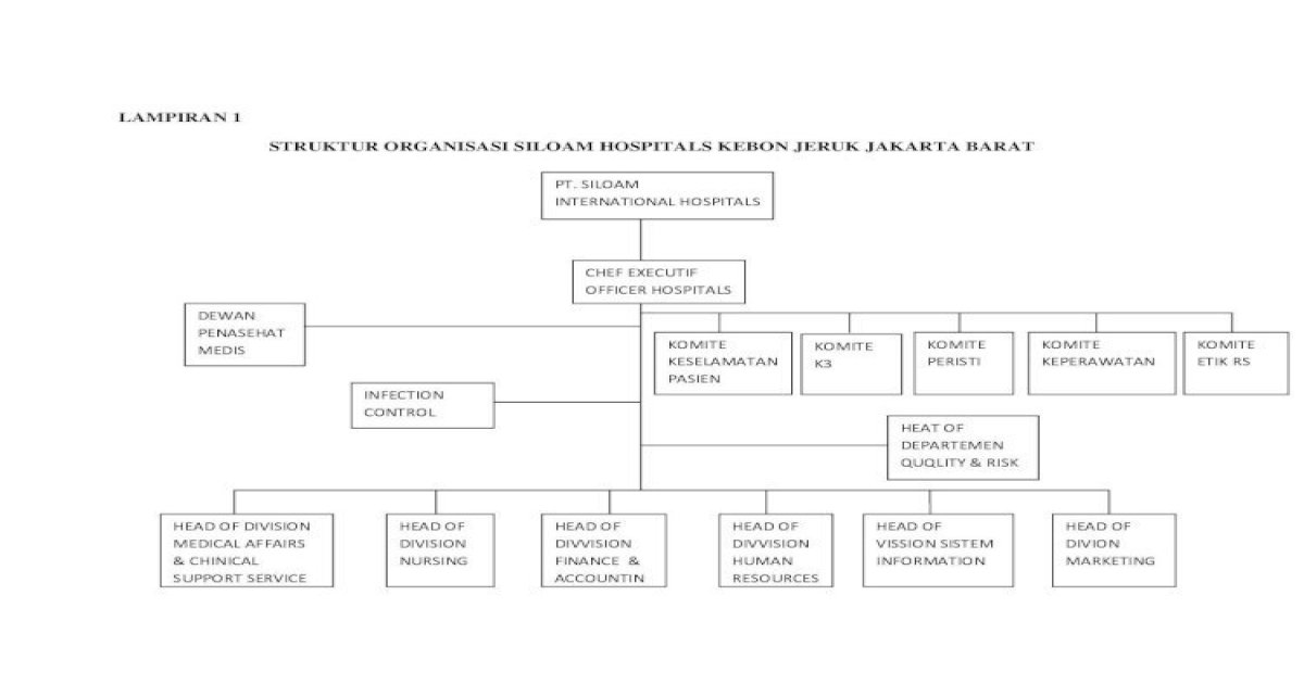 Detail Struktur Organisasi Rumah Sakit Siloam Nomer 3