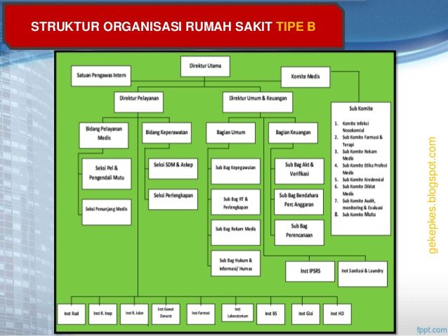 Detail Struktur Organisasi Rumah Sakit Tipe A Nomer 12