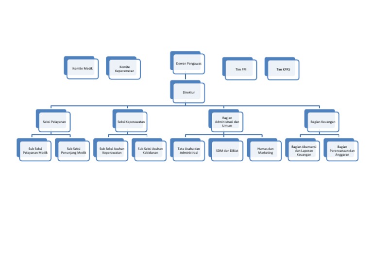 Detail Struktur Organisasi Rumah Sakit Tipe A Nomer 17