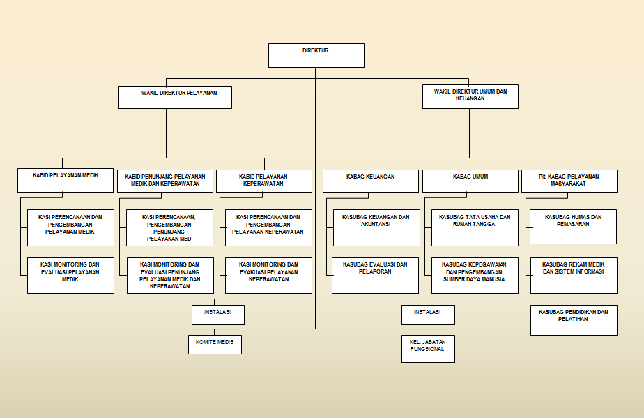 Detail Struktur Organisasi Rumah Sakit Tipe B Nomer 20