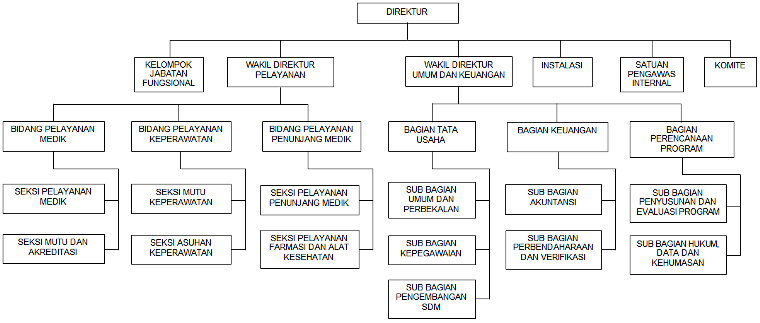Detail Struktur Organisasi Rumah Sakit Tipe B Nomer 21