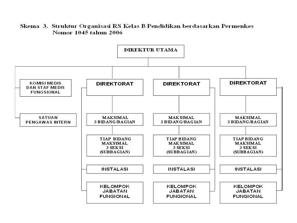 Detail Struktur Organisasi Rumah Sakit Tipe B Nomer 34