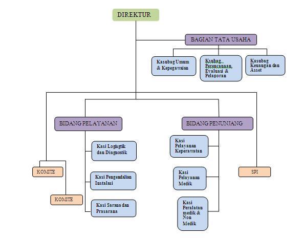 Detail Struktur Organisasi Rumah Sakit Tipe D Nomer 11
