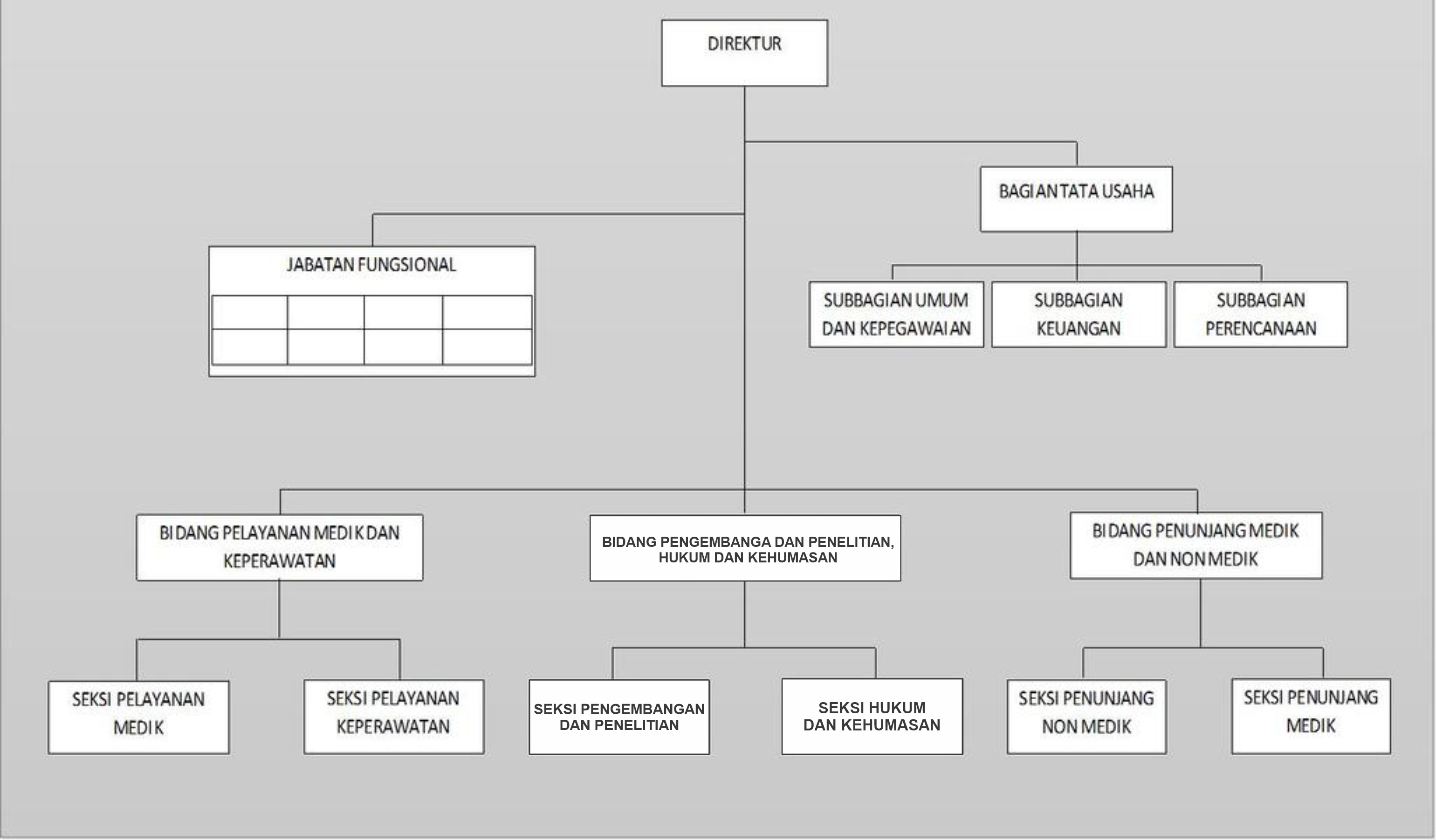 Detail Struktur Organisasi Rumah Sakit Tipe D Nomer 21