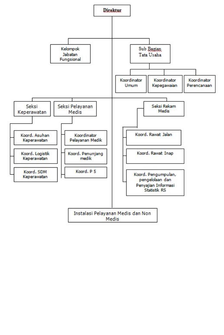 Detail Struktur Organisasi Rumah Sakit Tipe D Nomer 23