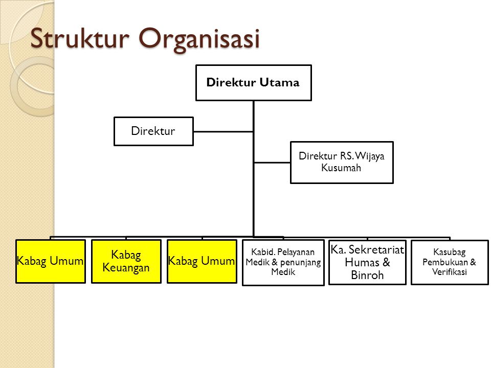 Detail Struktur Organisasi Rumah Sakit Tipe D Nomer 30