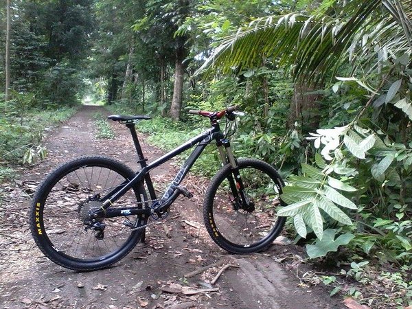 Detail Style Sepeda Mtb Nomer 6