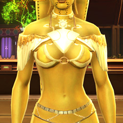 Detail Stylish Dancer Armor Set Nomer 5