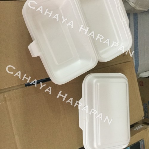 Detail Styrofoam Kotak Nomer 53