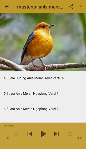 Detail Suara Anis Teler Nomer 34