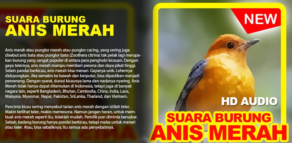 Detail Suara Anis Teler Nomer 44