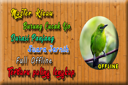 Detail Suara Burung C Ijo Nomer 49