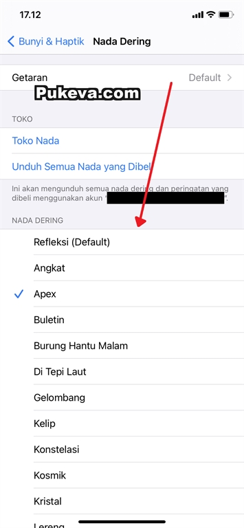 Detail Suara Nada Dering Telepon Nomer 34